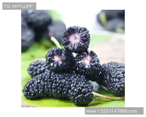 水果的丰富多样性与营养价值探索：从常见到稀有水果的健康奇迹